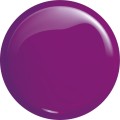 59f0df0b450c5bb48489929c636a09e6