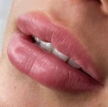 Contour_Ink_hirainuse15_d708b072-49a7-4b25-bf90-2df43fd49a90.webp