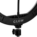GLOW-13 6526