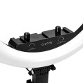 GLOW-10 6528