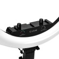 GLOW-11 6529