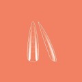 perfect-shape-dual-forms-almond-120-pcs (1).jpg