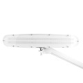 ELEGANTE-6 1434