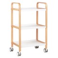 ACTIVESHOP-3 1511