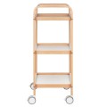 ACTIVESHOP-4 1511