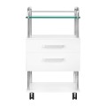 ACTIVESHOP-2 3539